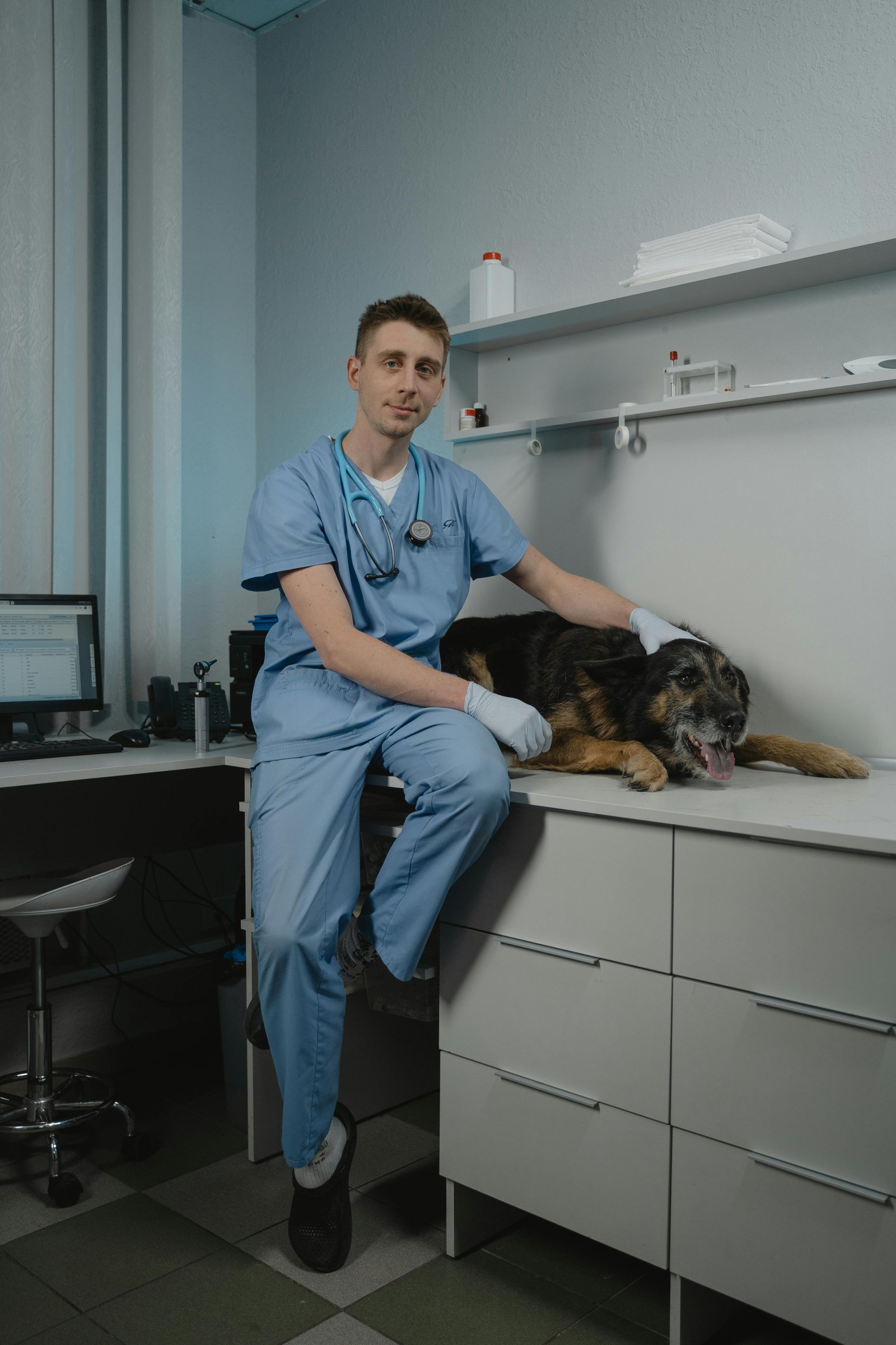 Veterinaria